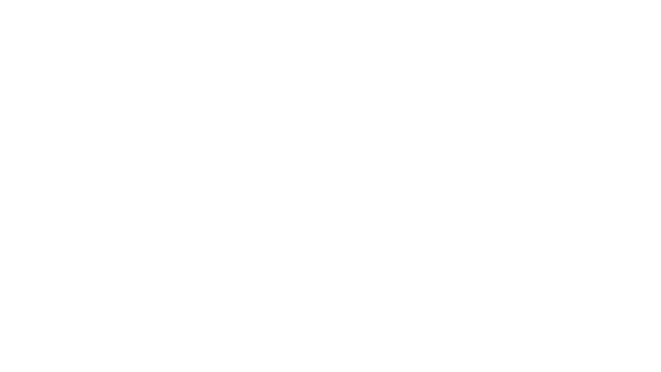 vn